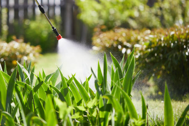 24/7 Emergency Wasp Removal experts in Millstadt, IL